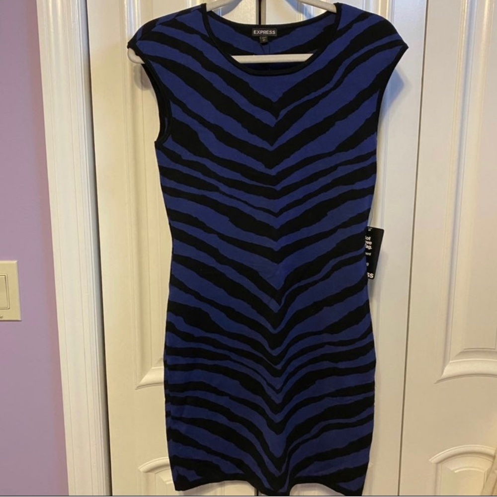 Express Zebra Print Dress